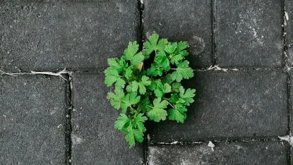 카지노 디포짓 윈 모바일 앱